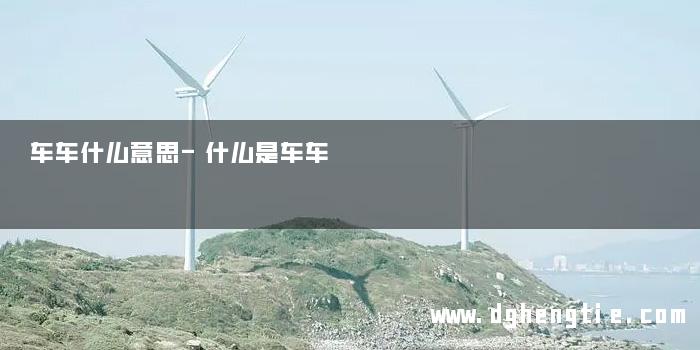 车车什么意思-什么是车车 